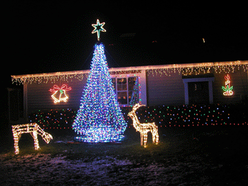 Mega Tree & West Face of House