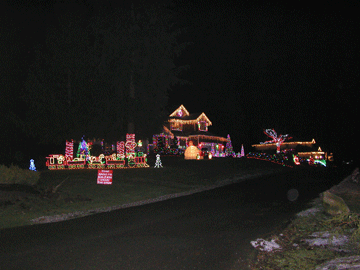 Looking Down the Street